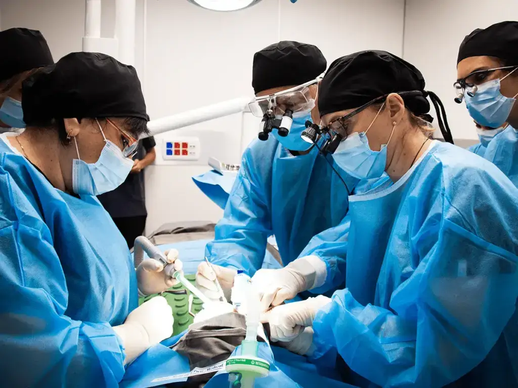 Expert dental care Tel Aviv