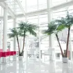Full-mouth rehabilitation specialist Tokyo