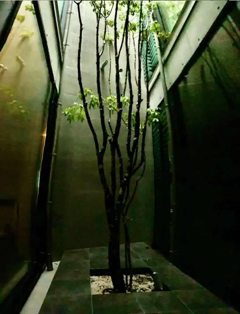 Interior patio at ZAGA Center Osaka